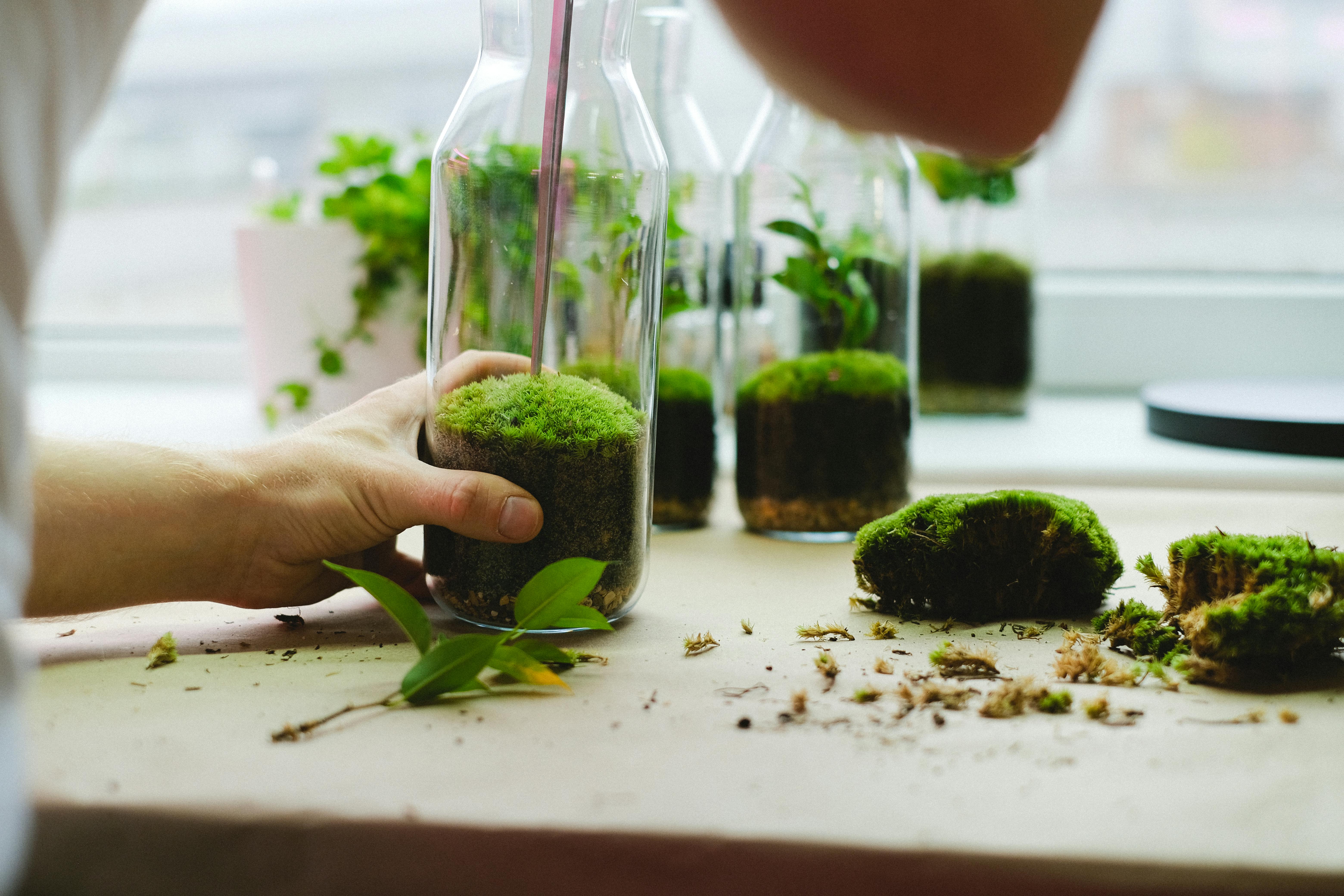 Common Health Issues & Solutions